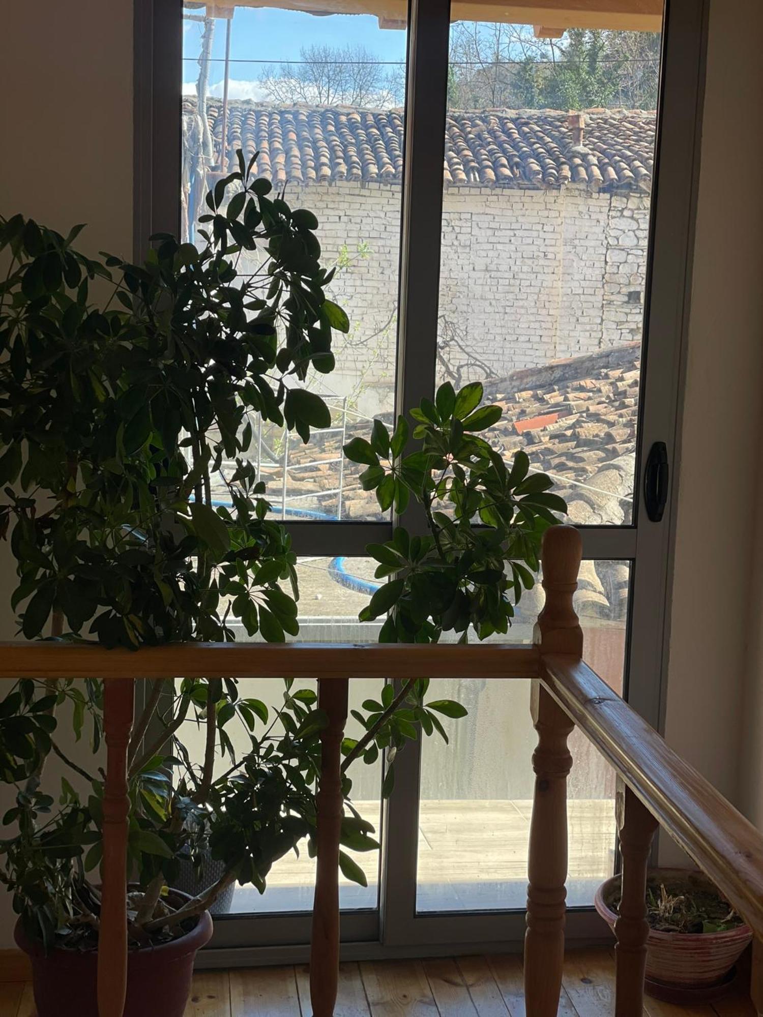 Guesthouse Kroi City Center ベラト エクステリア 写真